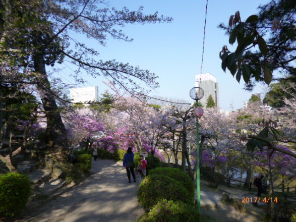 P1010430