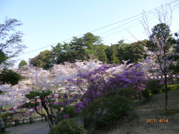 P1010432