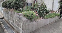 IMG_20181013_152632