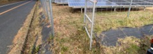 太陽光発電所　除草作業