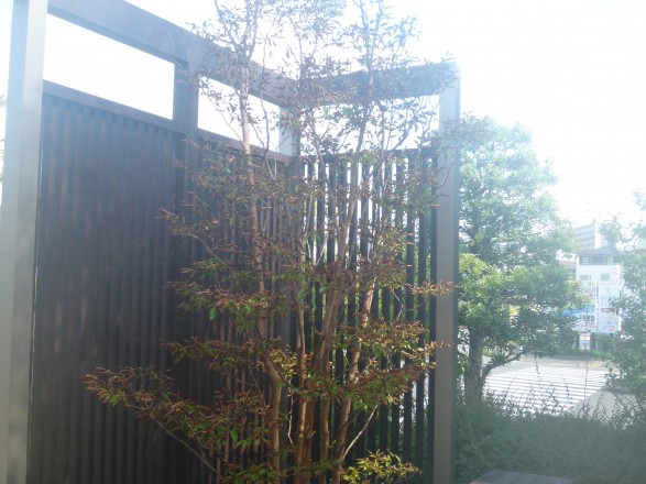 P1030286