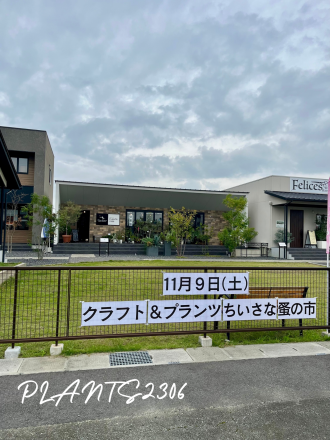 DNBE7445