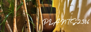 PLANTS2306【6月のお知らせ】