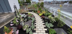 春の花壇をリニューアル