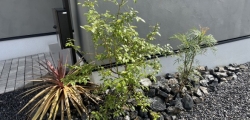 植栽と人工芝のリガーデン