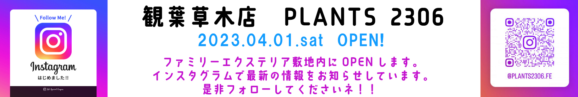 PLANTS2306　インスタバナー