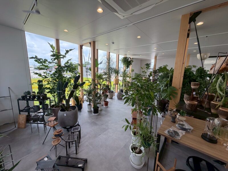 観葉草木店PLANTS2306 岡崎店
