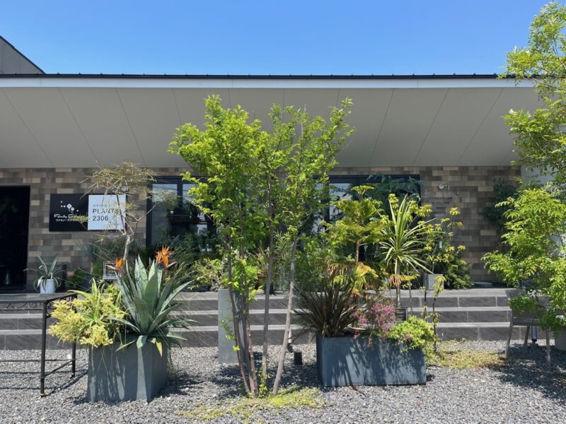観葉草木店PLANTS2306 松阪店