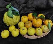 　冬至　　〝　一陽来復　〟