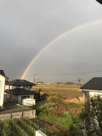 3image1