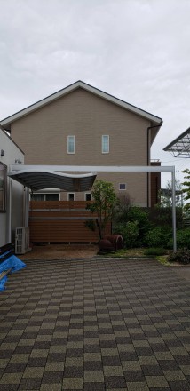 IMG_3557