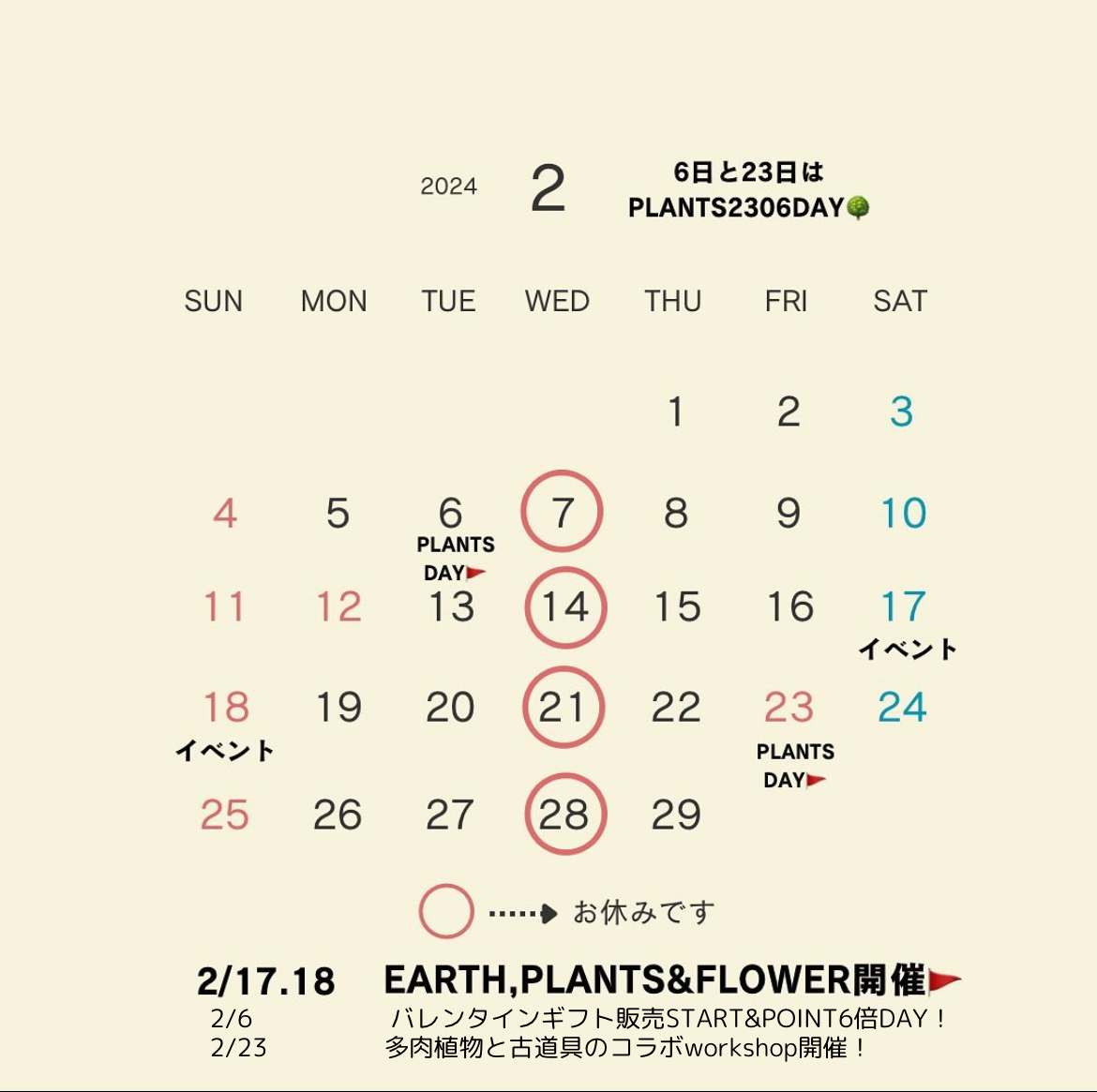 PLANTS2306【2月のお知らせ】