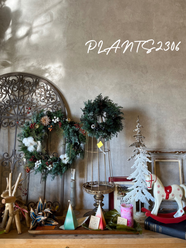 PLANTS2306【12/23は年内最後のPOINT６倍DAY！】