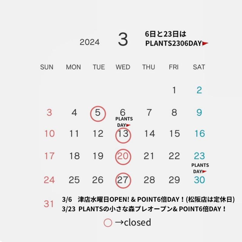 PLANTS2306【3月のお知らせ】