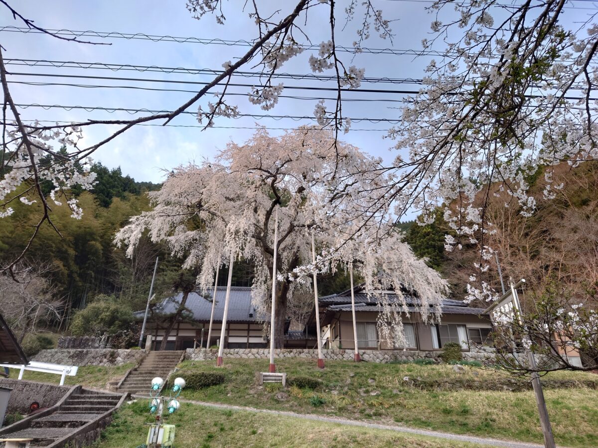 お花見スポットとアパート外構