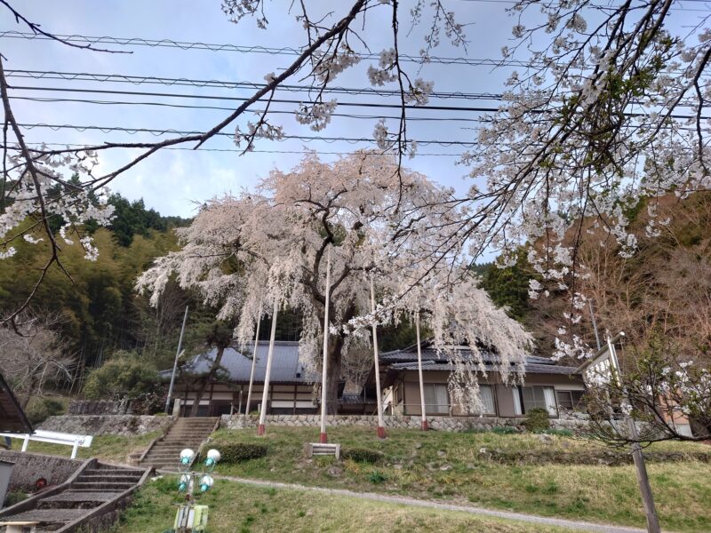 お花見スポットとアパート外構