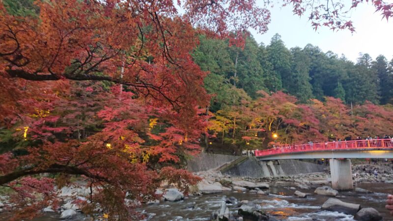 紅葉狩り🍁