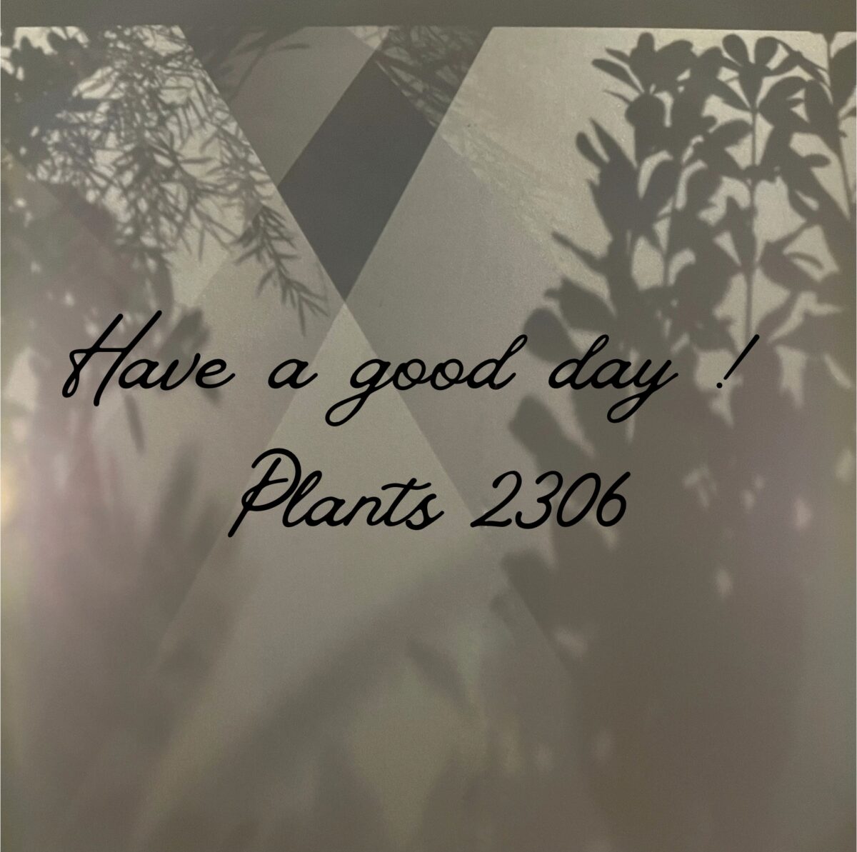 PLANTS2306松阪店☞15日(水)営業のお知らせ