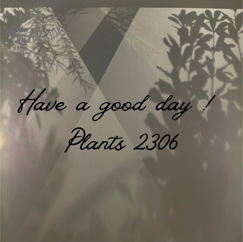 PLANTS2306松阪店☞15日(水)営業のお知らせ