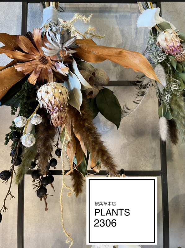 PLANTS2306松阪店☞本日PLANTS2306DAY！