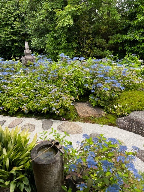 初夏の京都　🍃