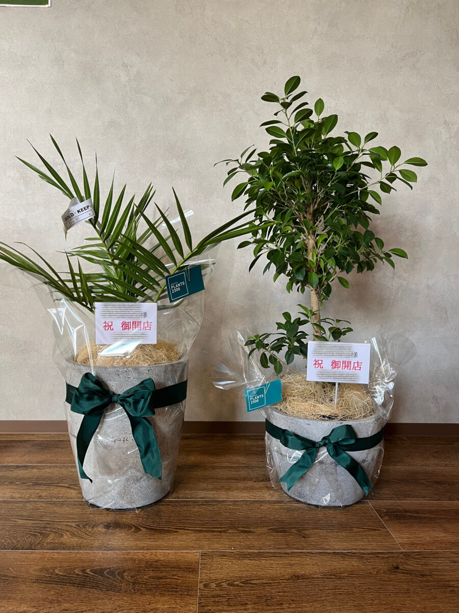 PLANTS2306松阪店☞ギフトラッピング承ります！