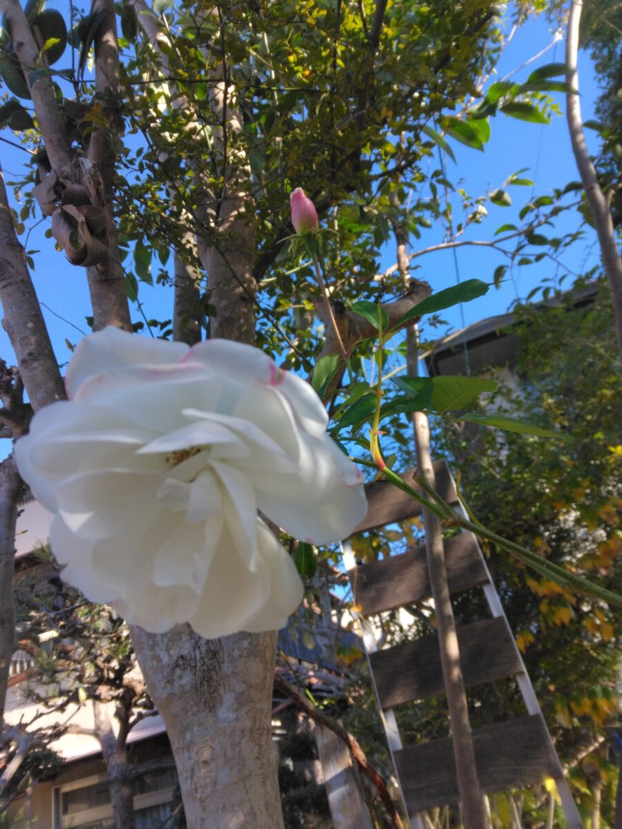 受験シーズン