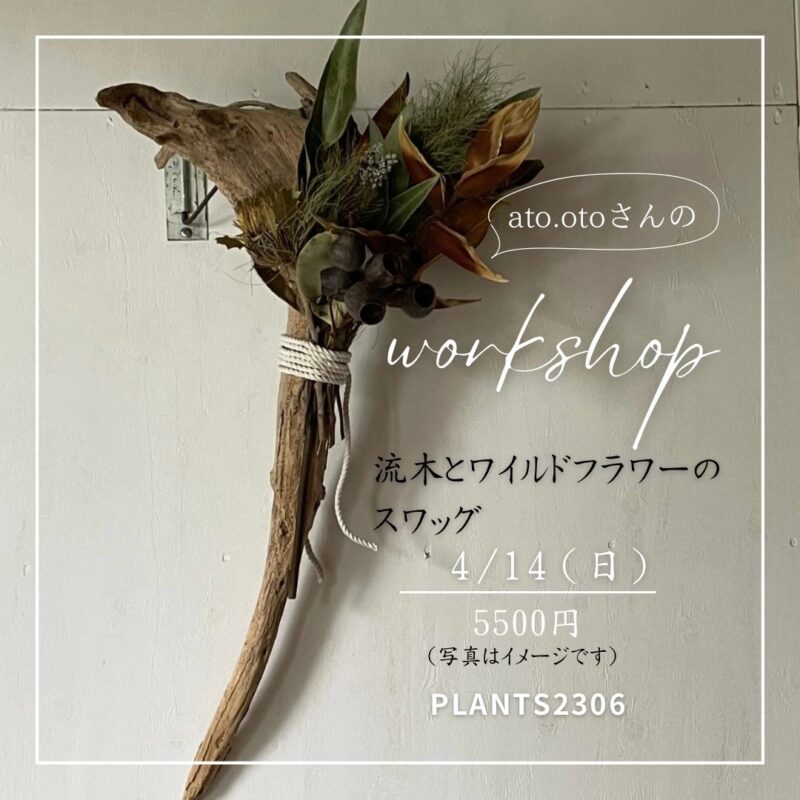 PLANTS2306【ワークショップのお知らせ】