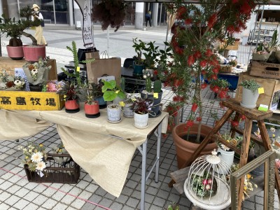 夢の手づくり市に出店させていただきました♪【2306】