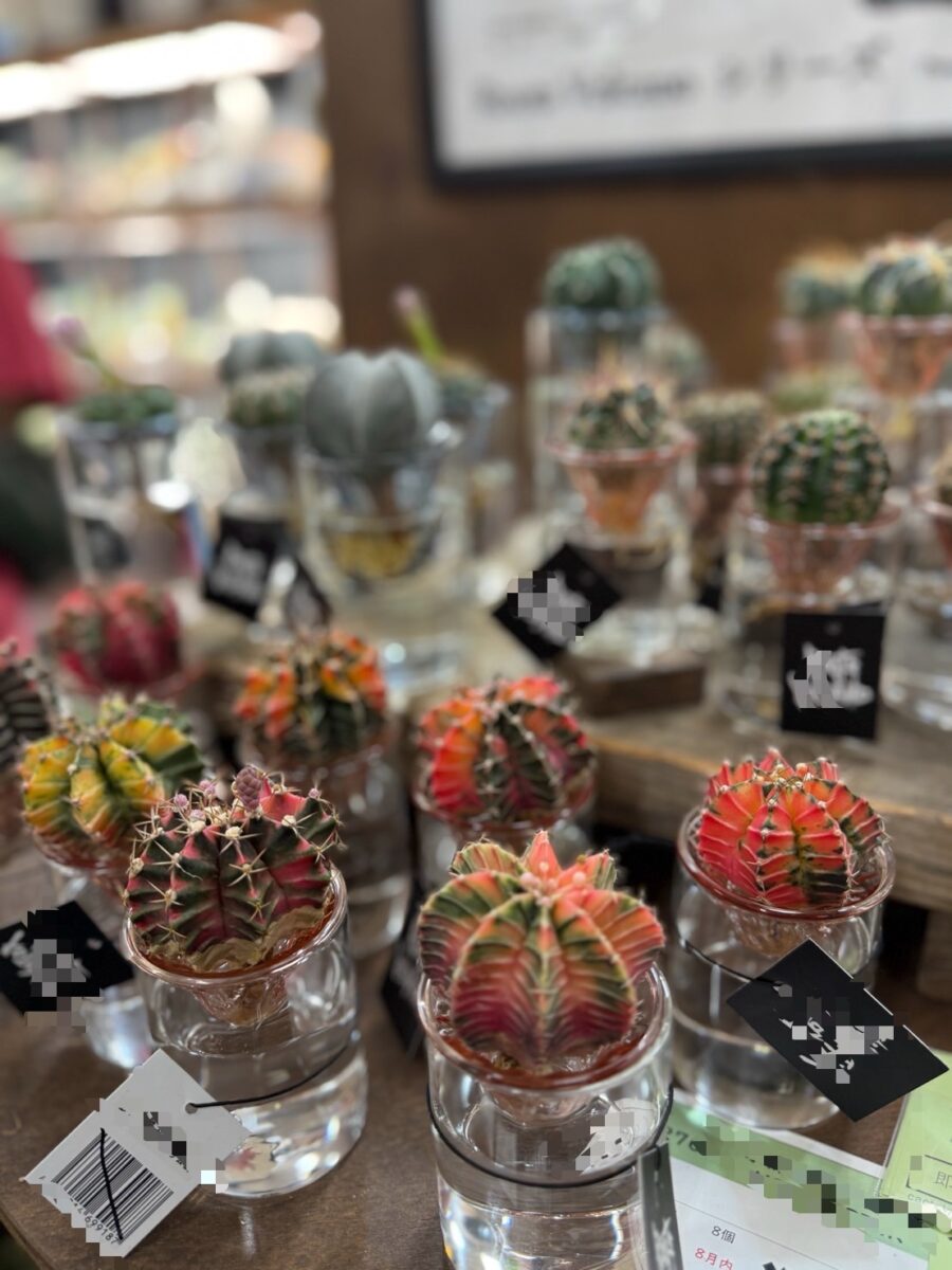 展示会へお邪魔してきました♫