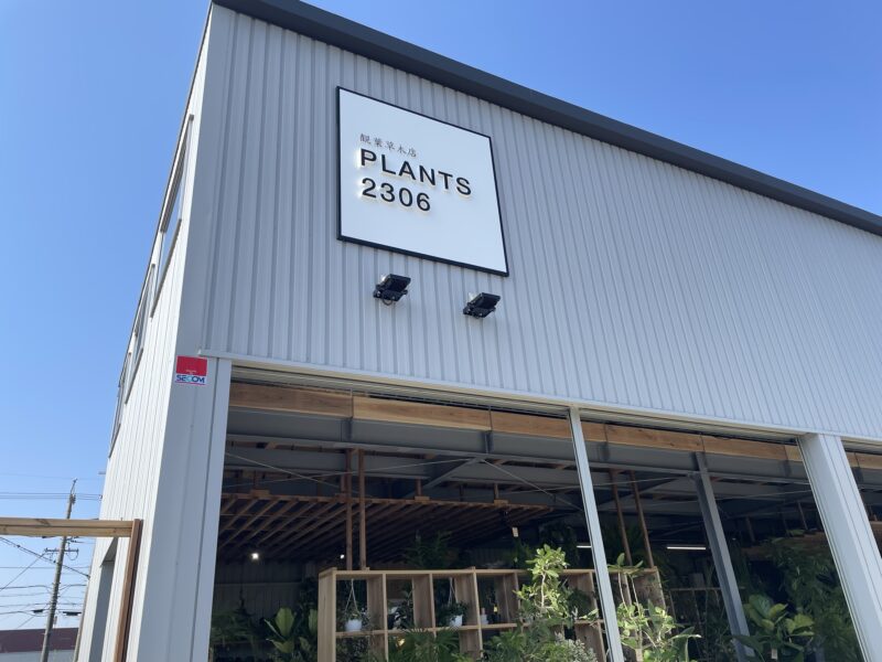 PLANTS 2306 いよいよOPENです！