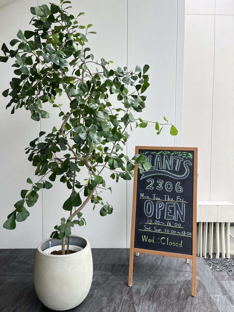 PLANTS2306松阪店☞本日POINT６倍DAY！