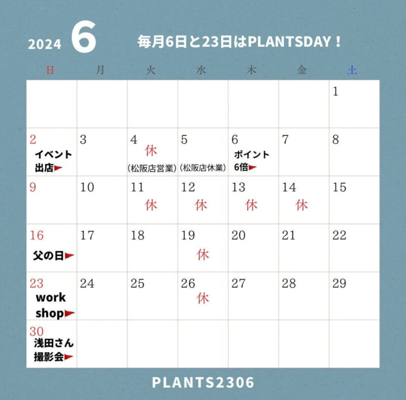 PLANTS2306【6月のお知らせ】
