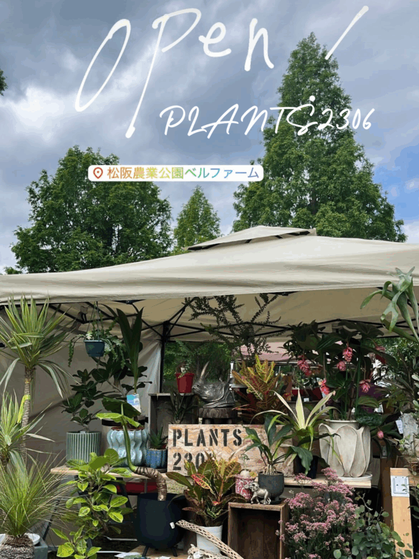 PLANTS2306【５月のお知らせ】