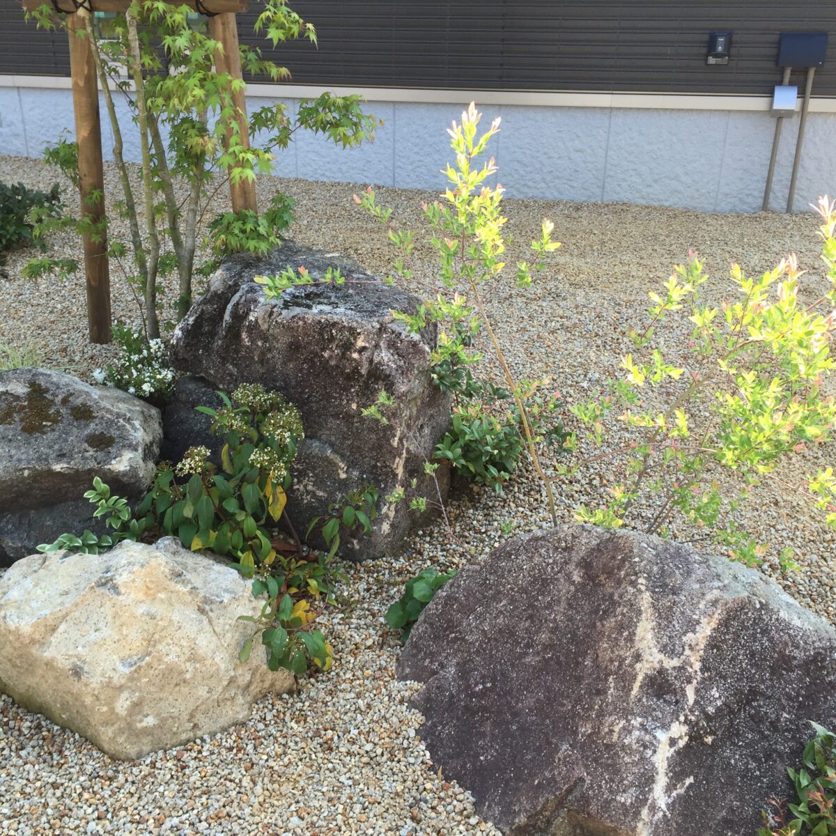 雨上がり。。。